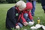 Kids beim Pflanzenbestimmen